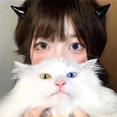 顽猫斗俏鼠